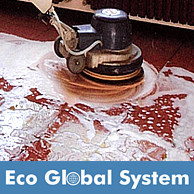 ECO GLOBAL SYSTEM
